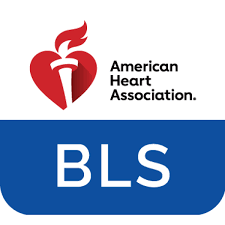 AHA BLS Provider Course