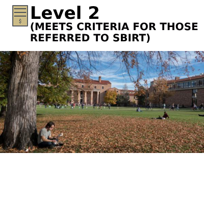 Level 2 (meets criteria for those referred to SBIRT)