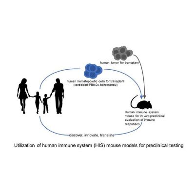 Pre-clinical Human Immune System Mouse model (PHISM) Shared Resource