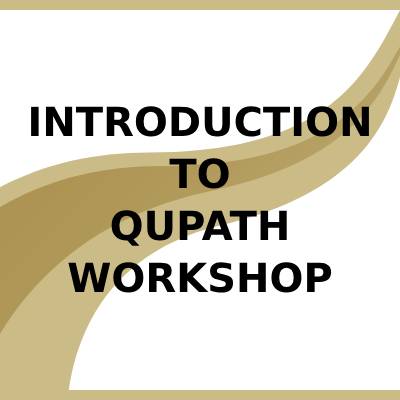 Introduction to QuPath
