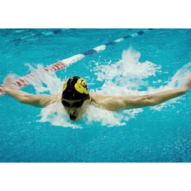 CU Swim & Dive 2024 Buff Invitational