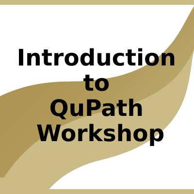 Introduction to QuPath Workshop
