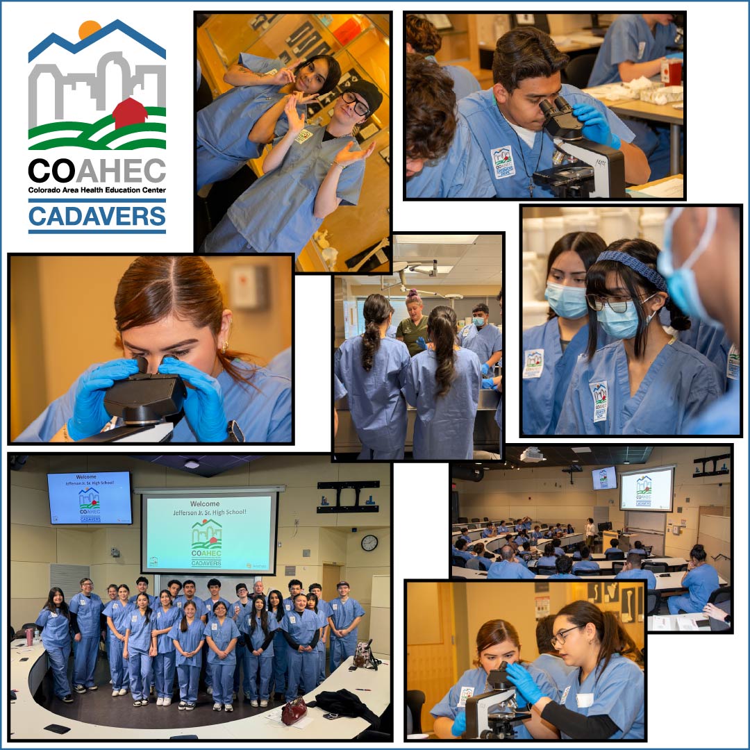CADAVERS (COAHEC Anatomy and Discourse on Arts, Values, Ethics, and Respect in Science)