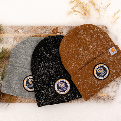 MIBH - Carhartt Watch Cap 2.0 with Woven Patch