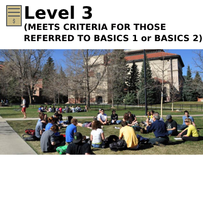 Level 3 (meets criteria for those referred to BASICS 1 or BASICS 2)
