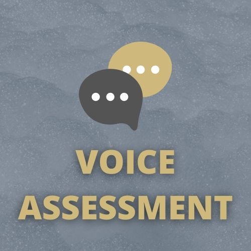 Voice Evaluation