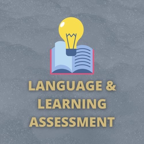 Language and Learning Evaluation