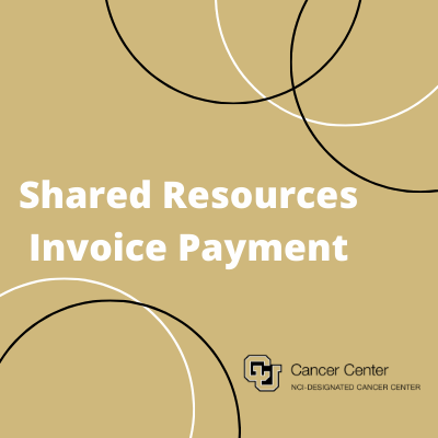 Shared Resources Invoice Payment