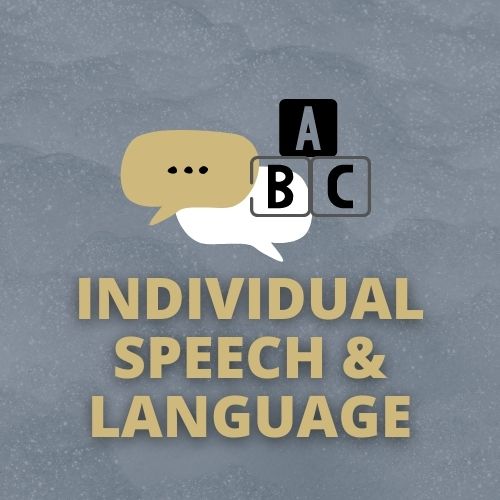 Individual Speech Language Treatment