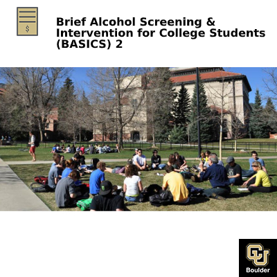 Brief Alcohol Screening and Intervention for College Students (BASICS) 2