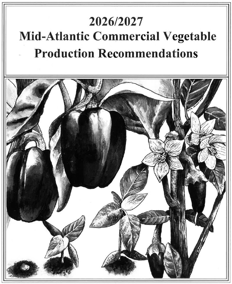 2026/2027 Mid-Atlantic Commercial Vegetable Production Recommendations