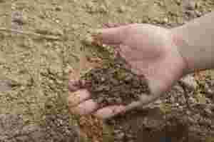 Soil Tests - Electrical Conductivity & Organic Matter