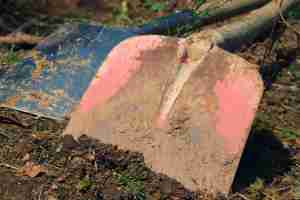 Soil Tests - Organic Matter & Micronutrients