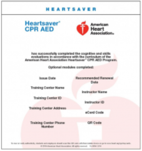 Heartsaver CPR AED - External