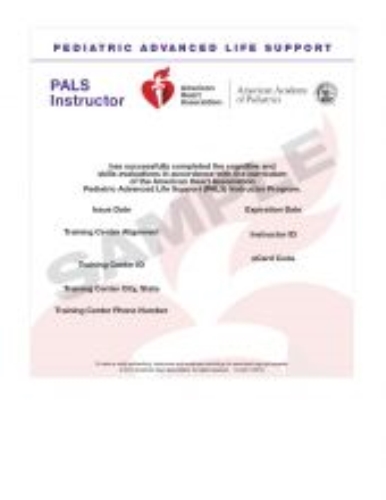 PALS Instructor - External