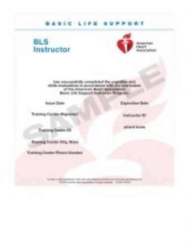 BLS Instructor - External