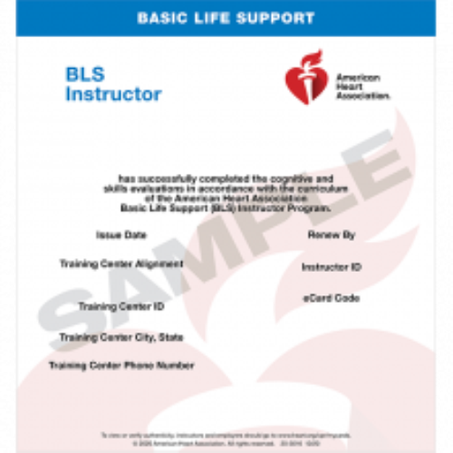 BLS Instructor - Internal