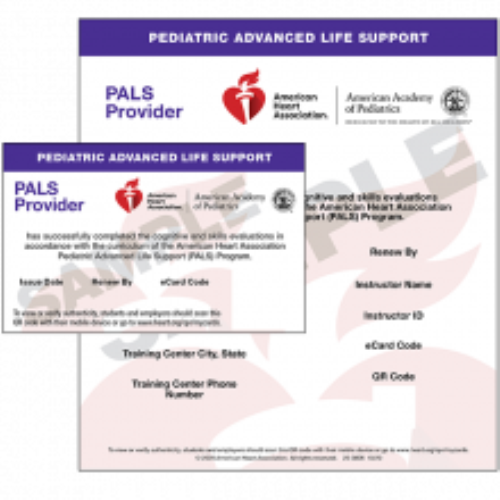 PALS Heart Code - External