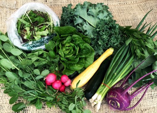 2026 CSA Installment Payments