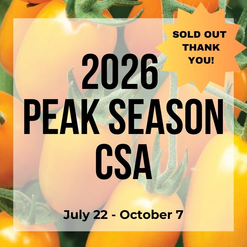 2026 Peak Season CSA Share