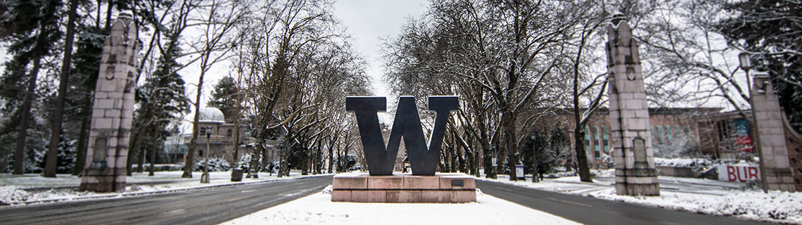 University of Washington Snowy W 