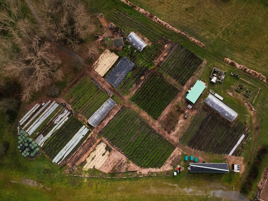 Aerial view of UW Farm 
