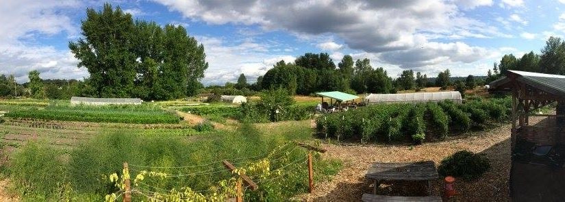 Expanded view of the UW Farm https://botanicgardens.uw.edu/center-for-urban-horticulture/gardens/uw-farm/