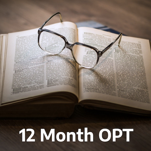 Post Completion Training Fee - 12 Month OPT