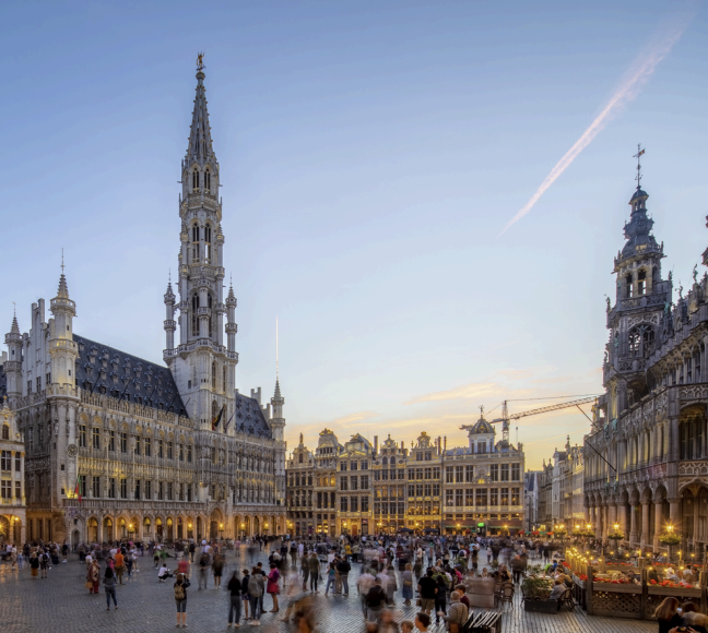 FLEAP - Belgium & Germany