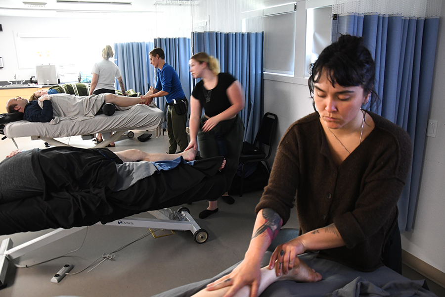 ABMP (Associated Bodywork and Massage Professionals - Premier Plus School Membership