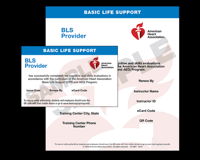 BLS Provider Card