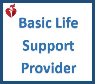 Basic Life Support Provider eCard