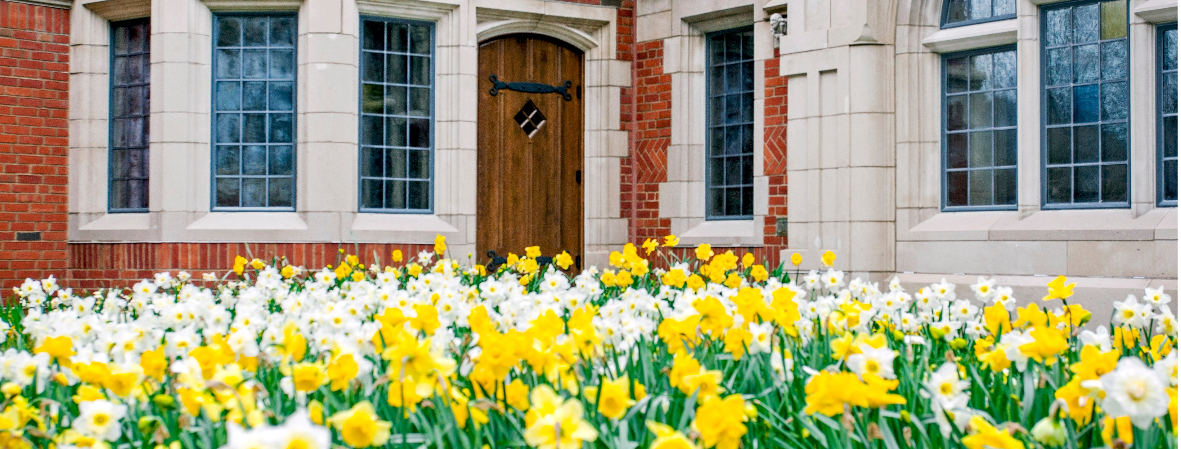Yale building with yellow and white daffodils 