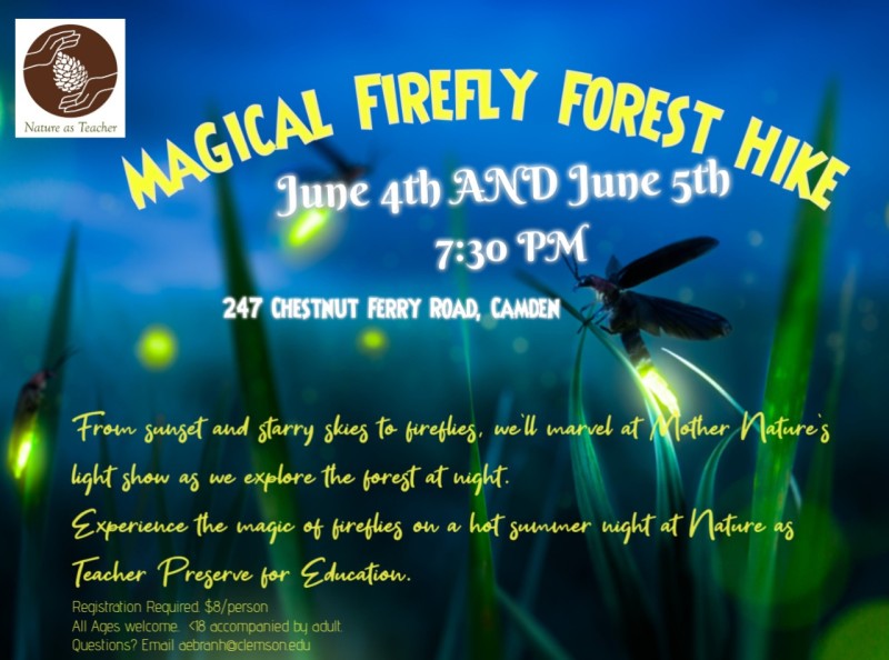Fireflies Hike