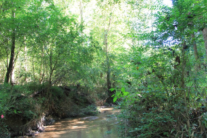 River Course 101: Stream Morphology Assessment