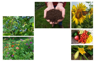 Soil Sample Mailer