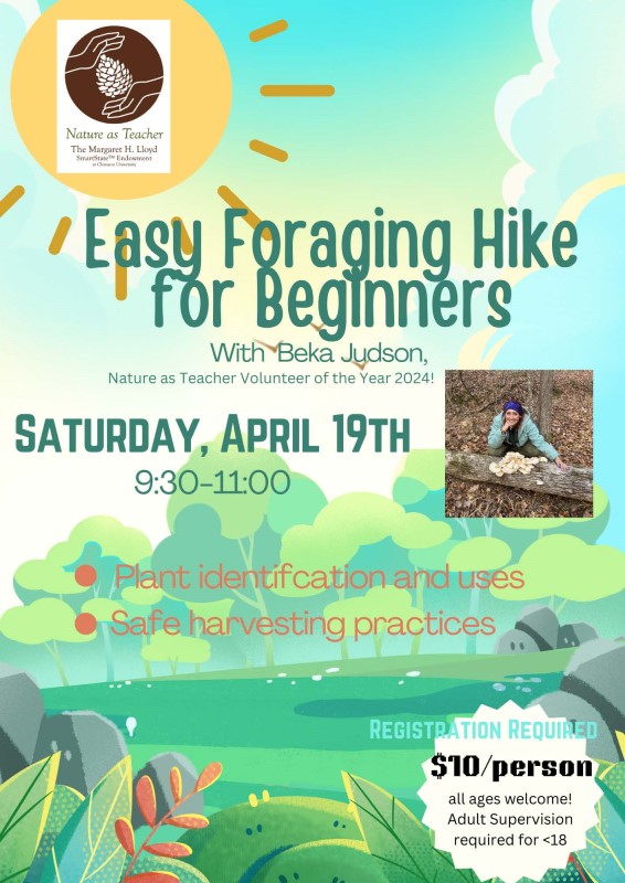 Easy Foraging Hike for Beginners 