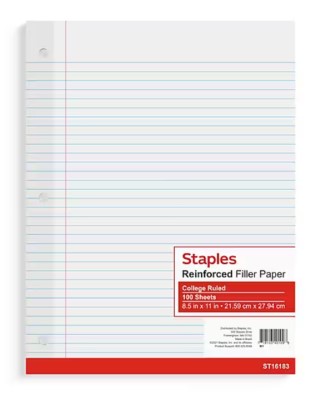 Notebook Paper (pack of 100 sheets)