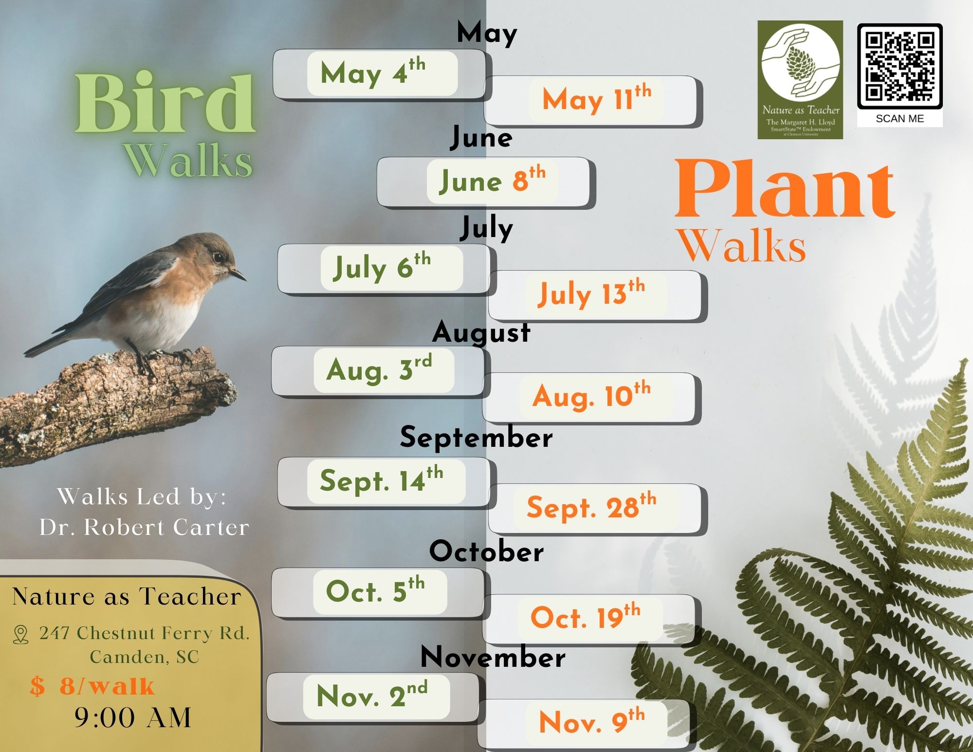 Plant and Bird Walks