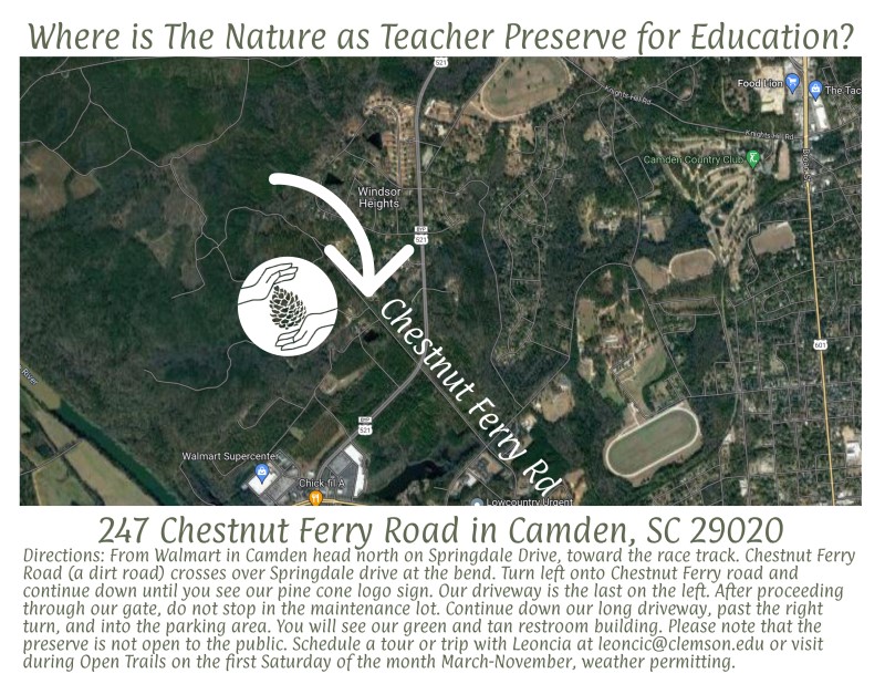 Cola City Homeschool Creek Study