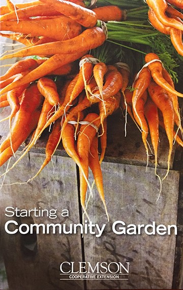 Starting A Community Garden