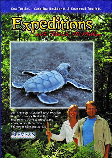 Expeditions with Patrick McMillan: Sea Turtles