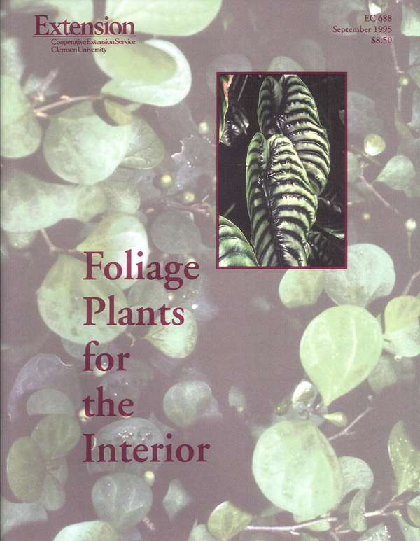 Foilage Plants for the Interior