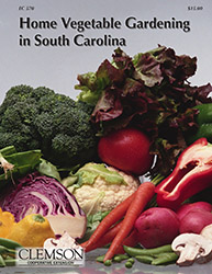 Home Vegetable Gardening in SC