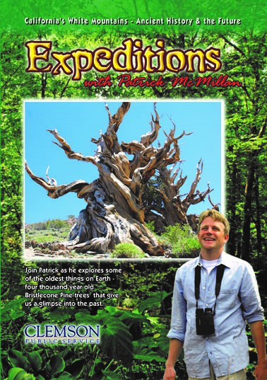 Expeditions with Patrick McMillan: California's White Mountains