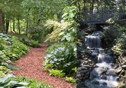 Hosta Garden