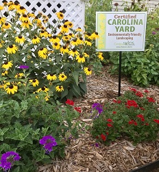 Carolina Yards - Yard Sign