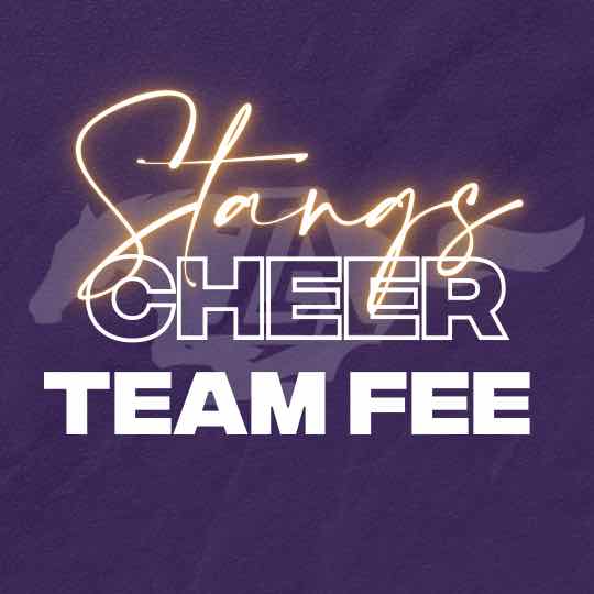 Stangs Cheer: TEAM FEE 2025-2026