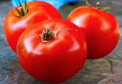 Hort Club: 3 and ½” Cougar Red Tomatoes