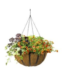 Hort Club: 18” Pulp Hanging Baskets